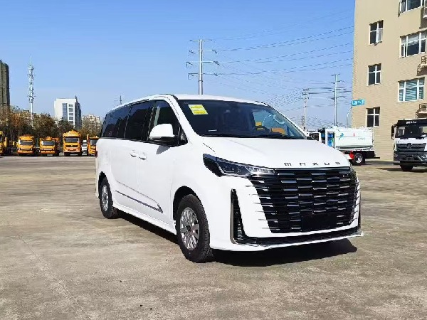 大通G10 自動(dòng)擋檢測(cè)車(chē)(商務(wù)版) 大通G10 自動(dòng)擋檢測(cè)車(chē)(商務(wù)版)